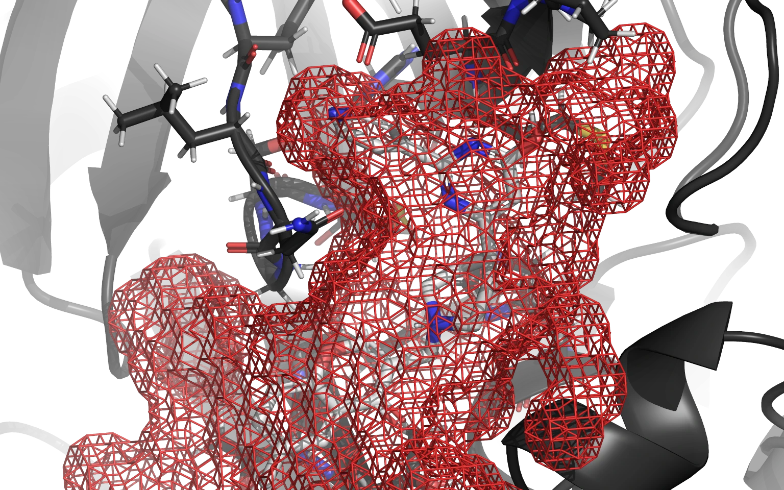 Protein, cavity, and ligand